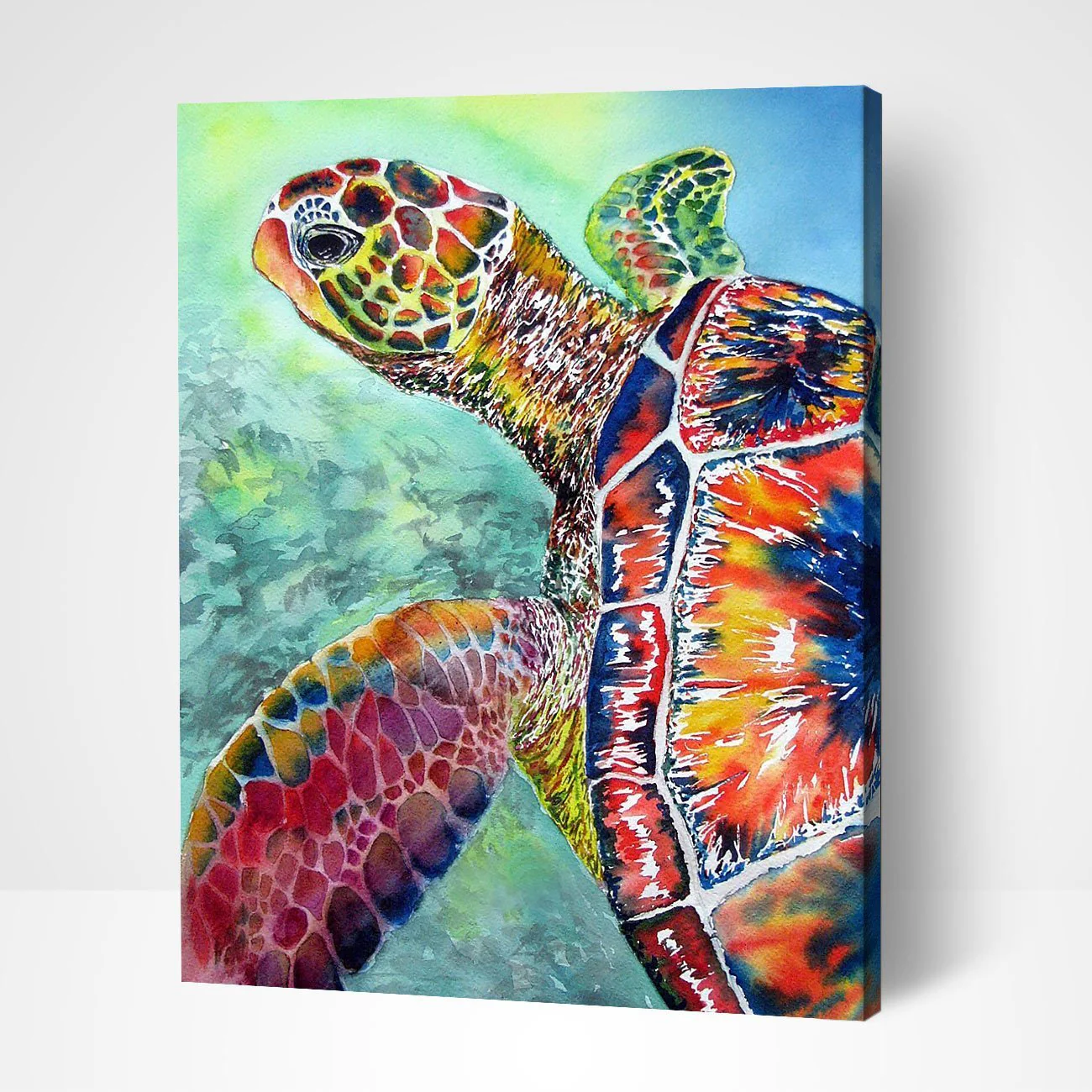 Sea Turtle - Image 4