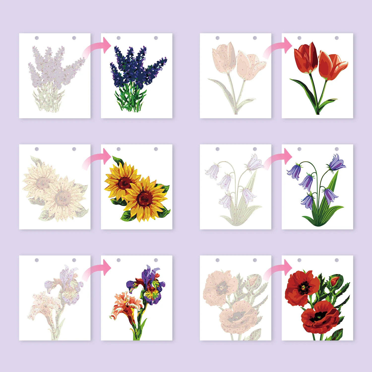 Seasons of Flowers - Image 24