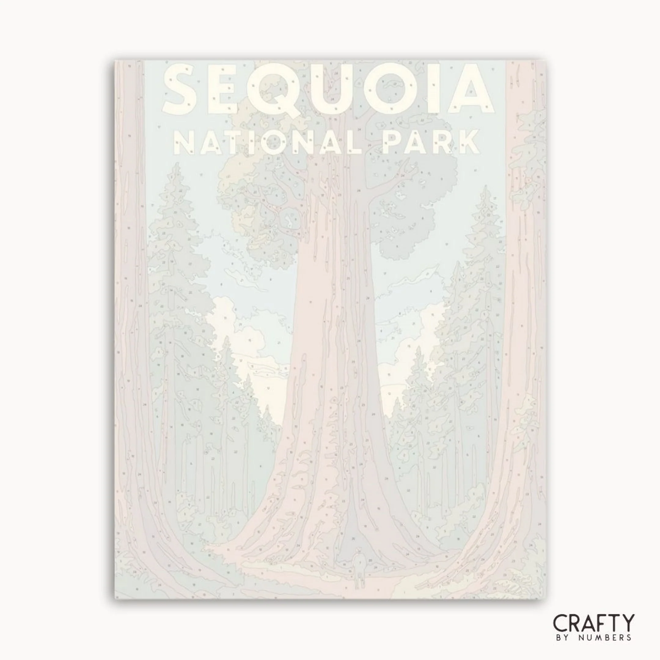 Sequoia - National Park - Image 2