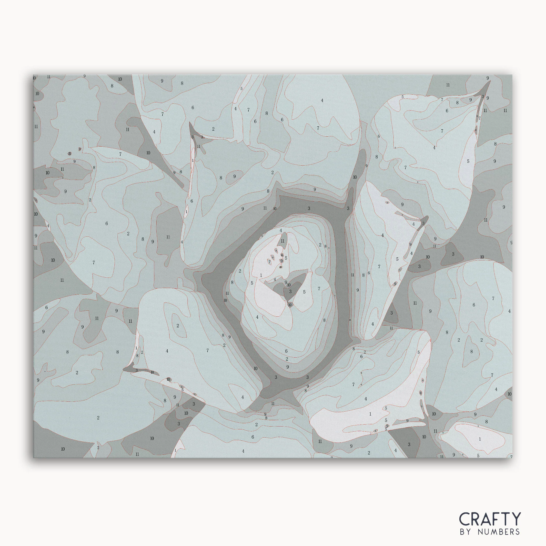 Succulent - Image 2