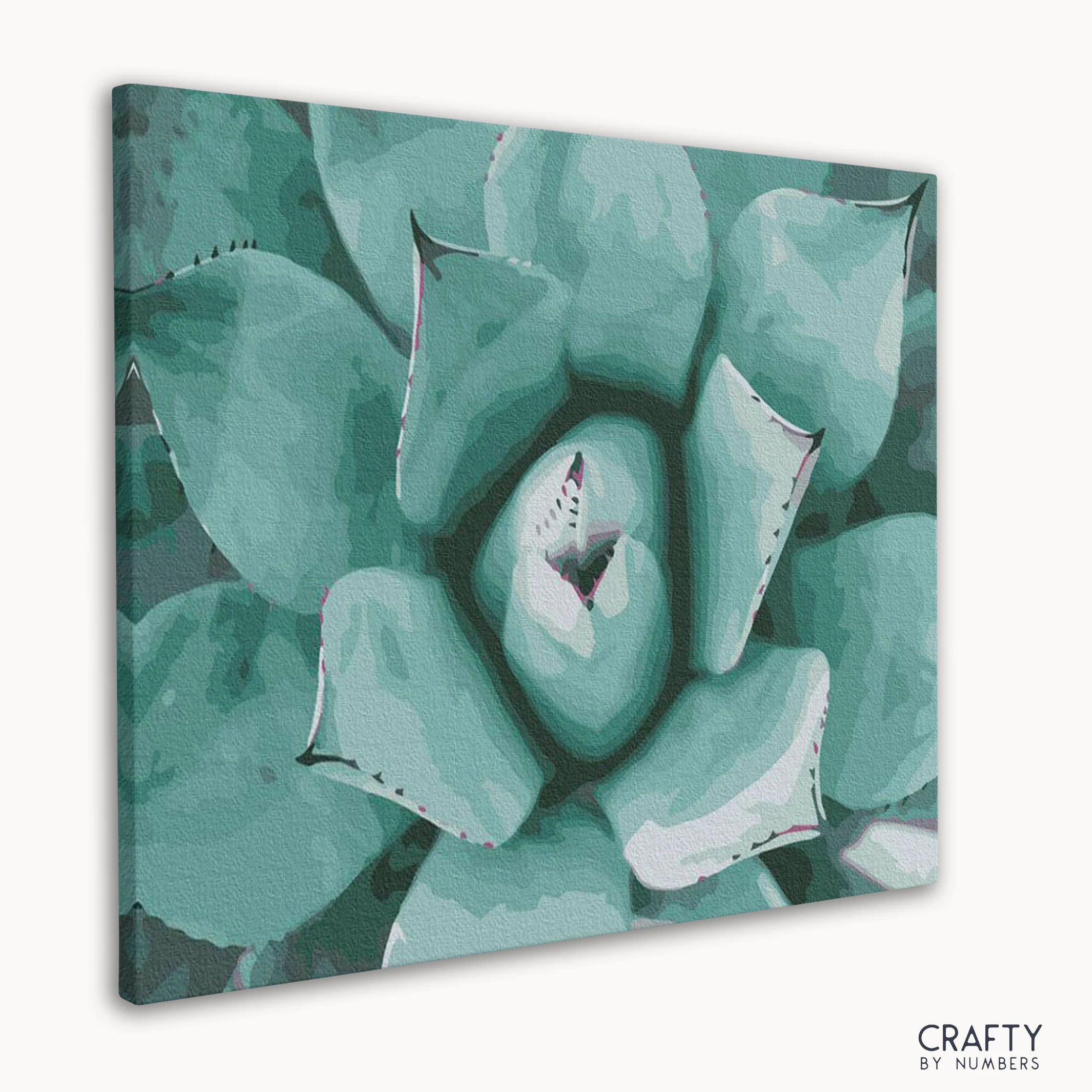 Succulent - Image 3