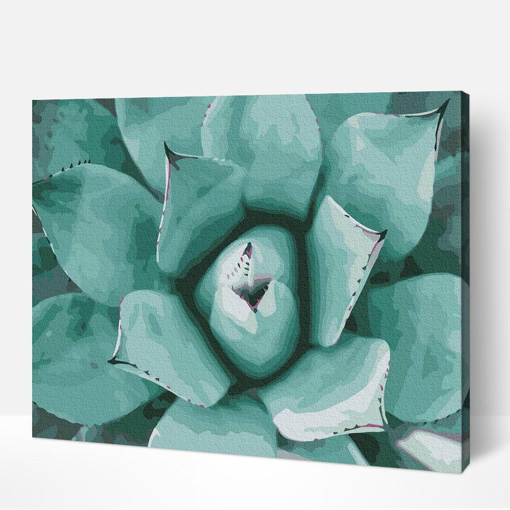 Succulent - Image 4