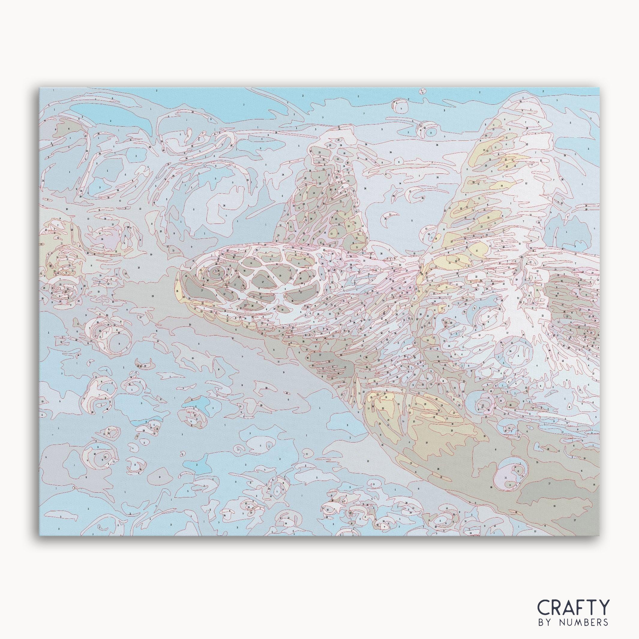 Turtle Hawksbill Sea - Image 2