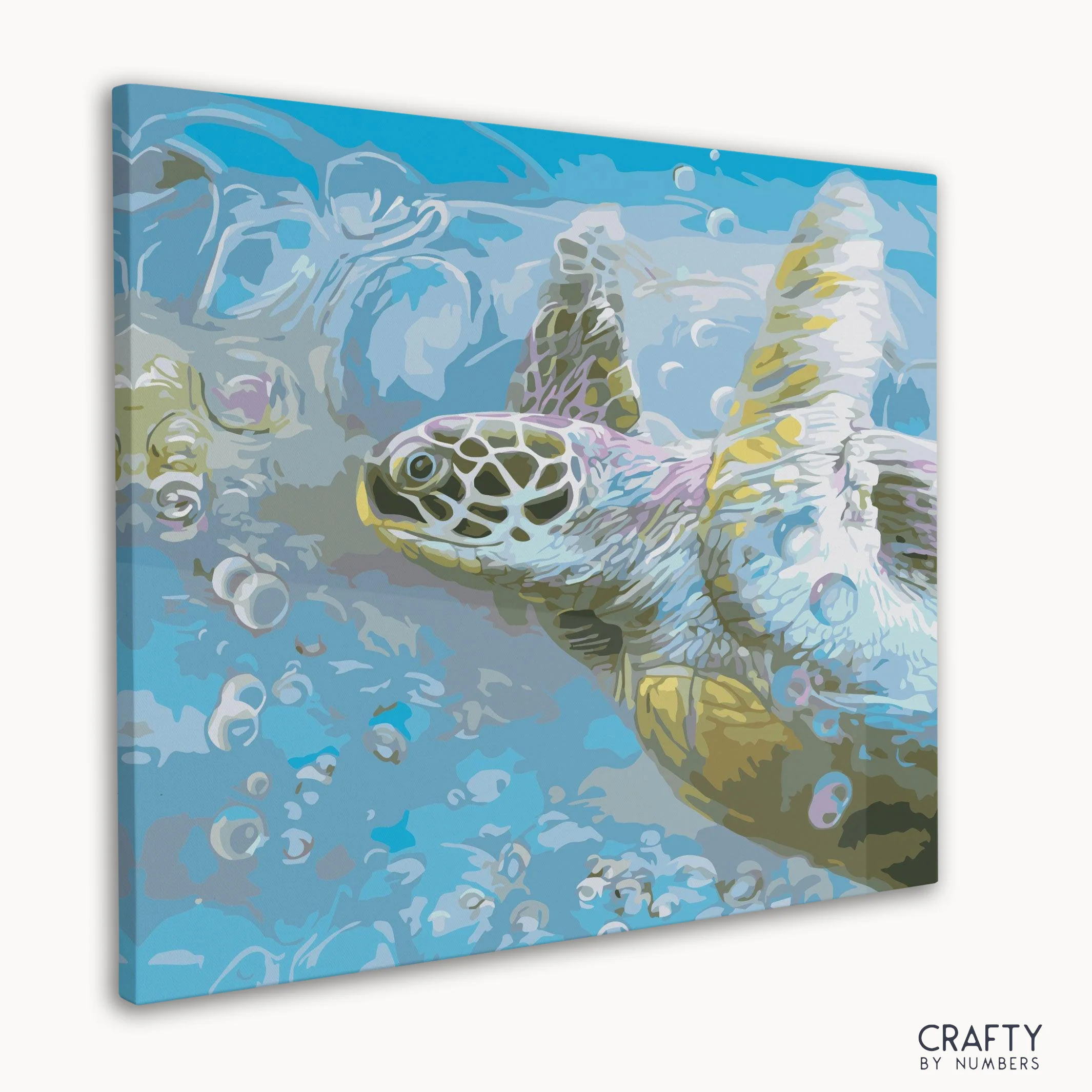Turtle Hawksbill Sea - Image 3