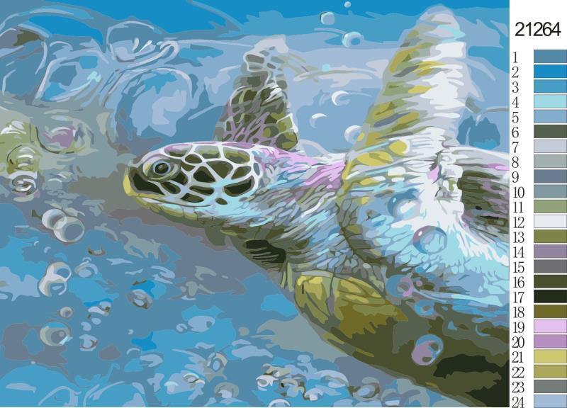 Turtle Hawksbill Sea - Image 4