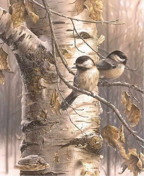 Two Friend Birds on Birch Tree - Image 4