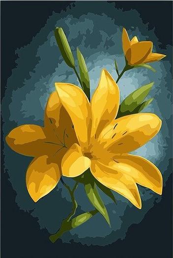 Yellow Flowers Lotus - Image 4